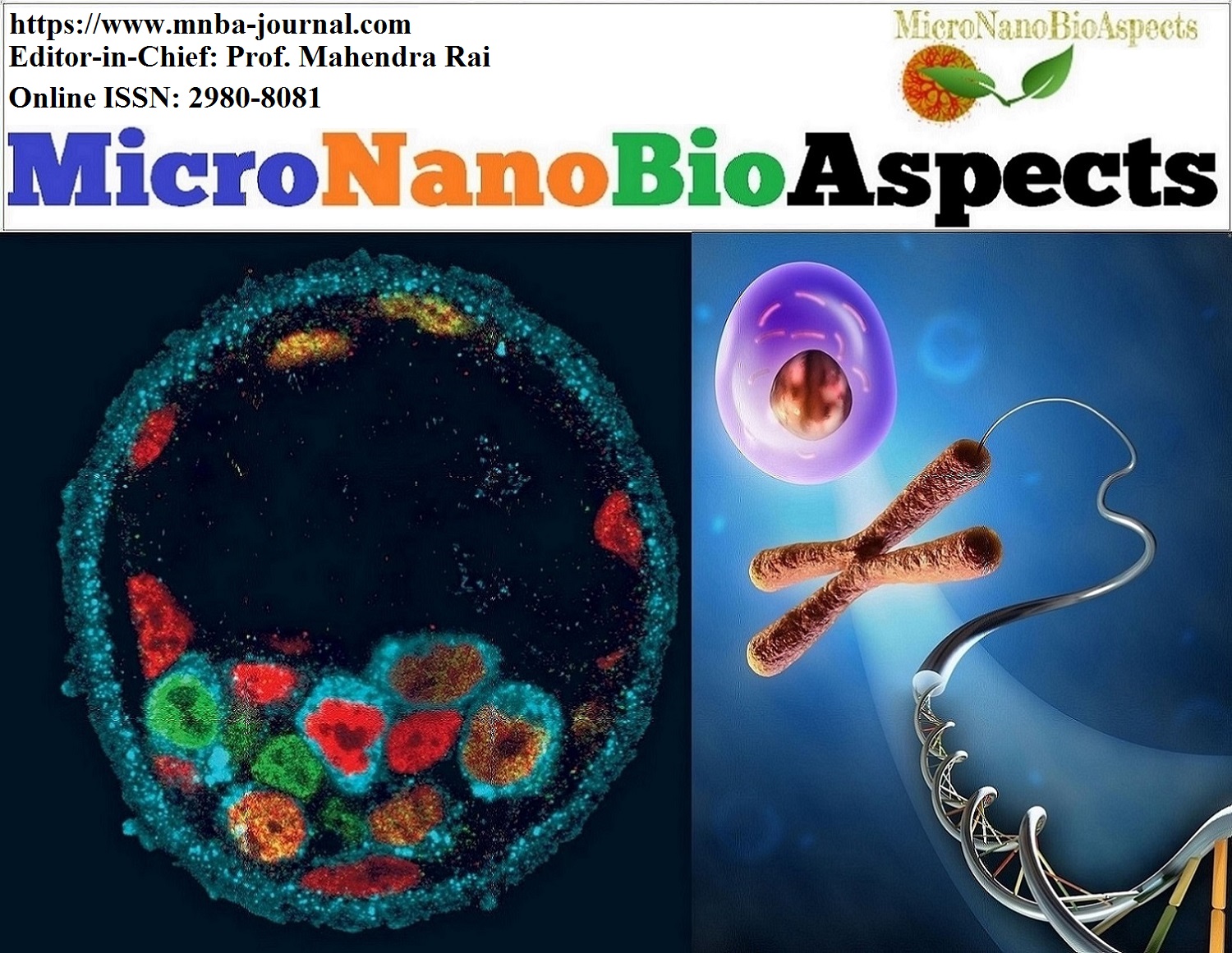 Micro Nano Bio Aspects